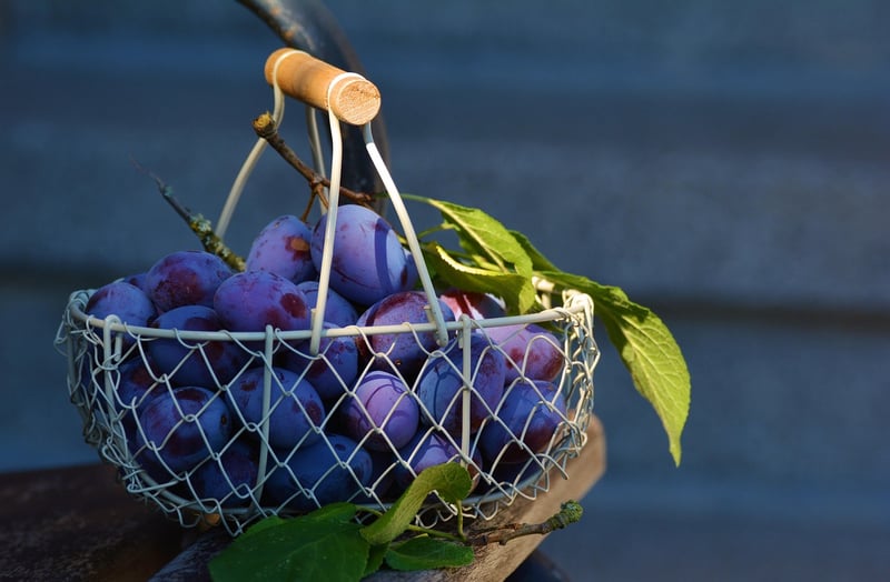Handwoven Baskets