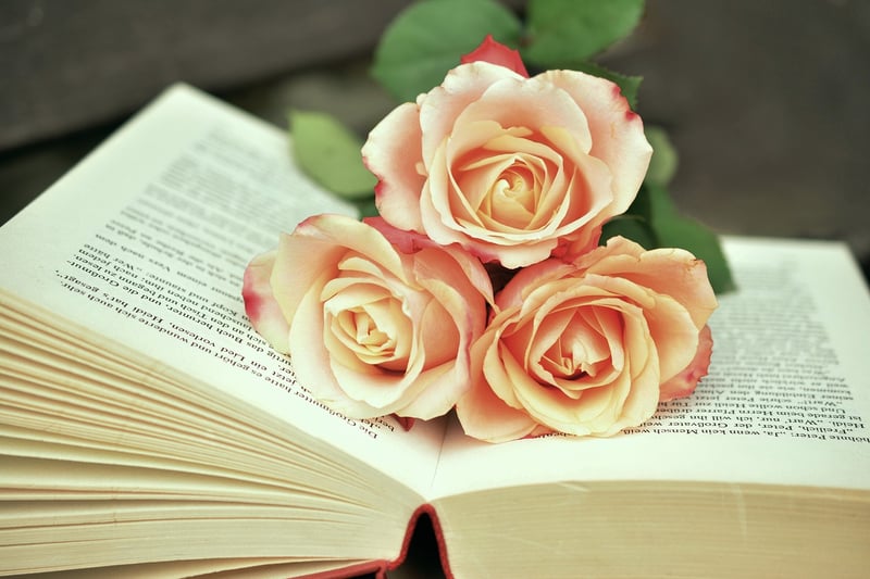 Upcycled Books